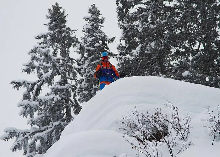 Haus Fiegl Apartmán