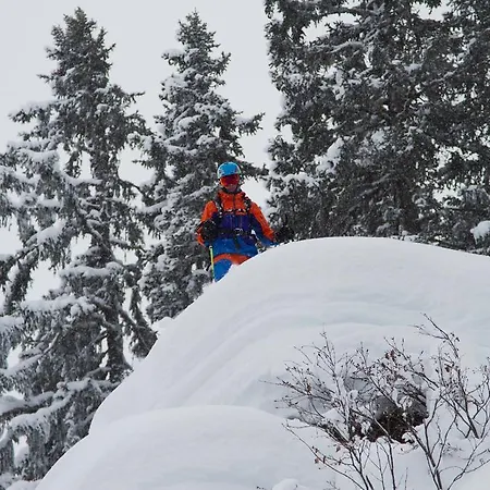 Haus Fiegl Apartment